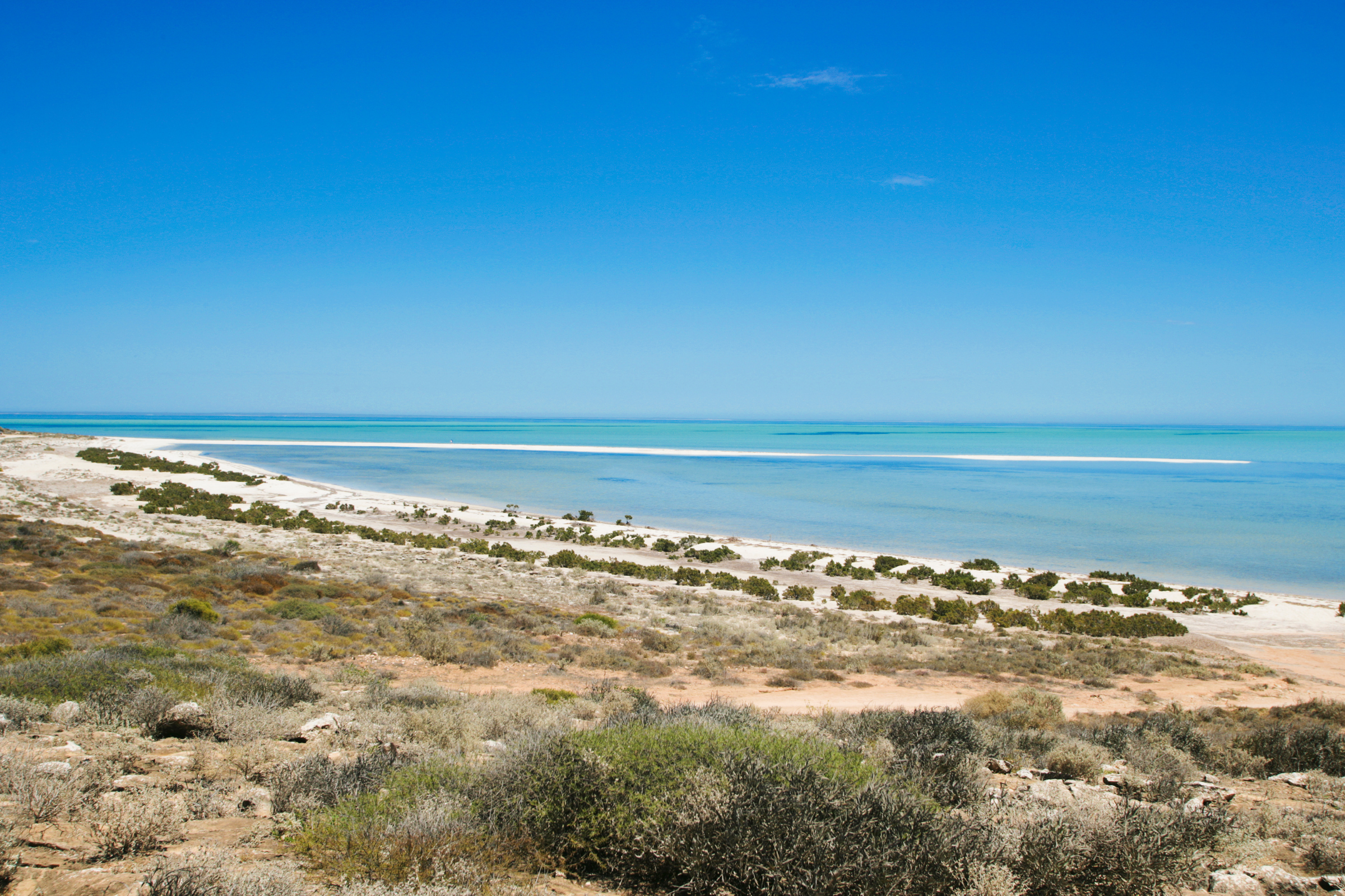denham, western australia (2).webp